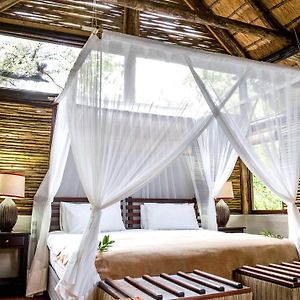 Safari Villa